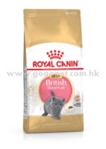 Royal Canin 法國皇家 - 英國短毛幼貓配方 10kg