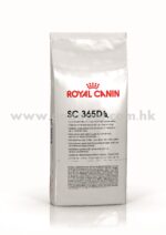Royal Canin 法國皇家 - 全能365貓糧 15KG