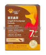 COSSET 愛寵健 靈芝蟲草老年犬專用配方(膠囊裝) 老犬保健食品 狗狗保健 靈芝
