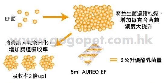 10204-AureoDM-02_wm