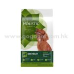 Holistic Select 活力滋 - 成犬羊肉低敏配方(有穀物)