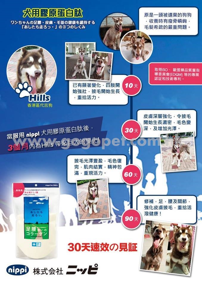 Nippi-Dog_wm