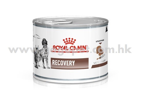 Royal Canin - Recovery 貓/犬隻康復支援營養濕糧 195g 行貨 Royal Canin - Recovery 貓/犬隻康復支援營養濕糧 195g 行貨