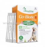 Royal-Pets Co-biotic for dogs 犬用腸益生素