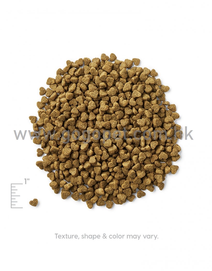 素力高小型 迷你犬(全年齡)乾狗糧2_wm Solid Gold 素力高 小型 / 迷你犬(全年齡)乾狗糧