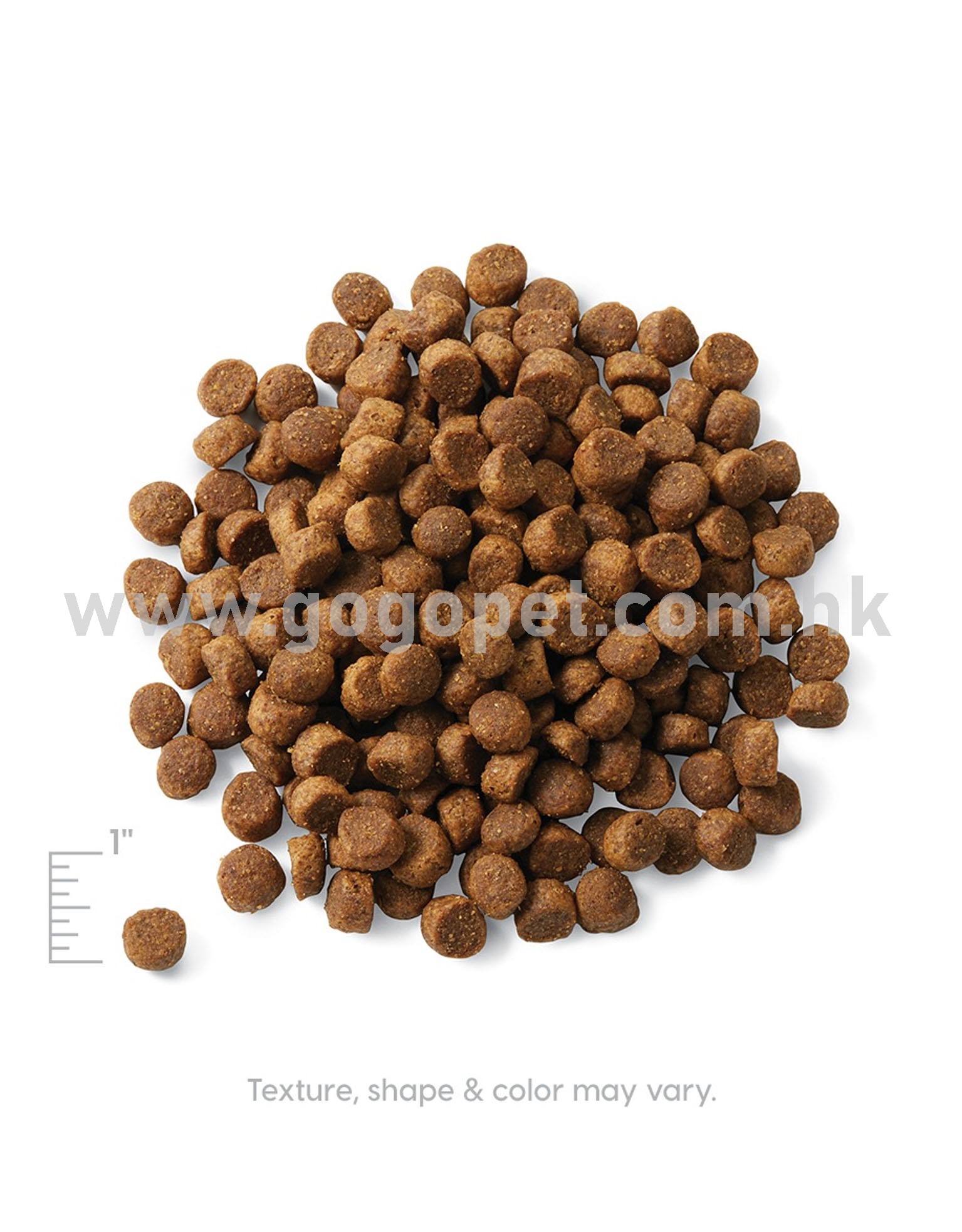Solid Gold 素力高 無穀物幼犬乾狗糧 Solid Gold 素力高 無穀物幼犬乾狗糧