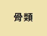 骨類