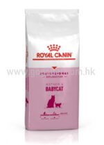 Royal Canin 法國皇家 - Mother & Baby cat 10kg 貓配方