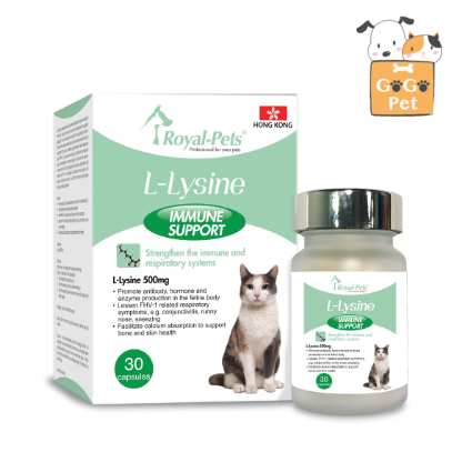 Royal-Pets - 左旋離胺酸30粒膠囊裝 Royal Pets -發酵蟲草菌絲體Cs4 貓貓補充品 Royal-Pets - 左旋離胺酸30粒膠囊裝 Royal Pets -發酵蟲草菌絲體Cs4 貓貓補充品