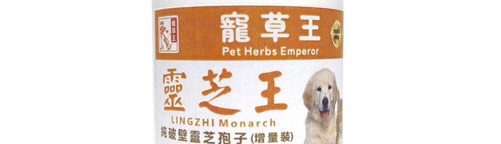 寵草王-靈芝王 寵物靈芝