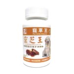 寵草王-靈芝王 寵物靈芝