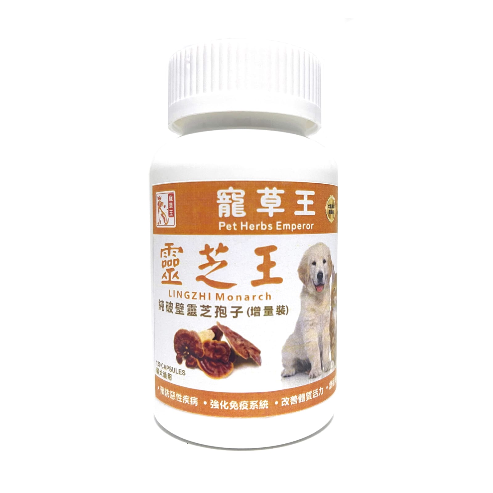 寵草王-靈芝王 寵物靈芝 寵草王-靈芝王 寵物靈芝